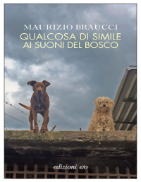 Maurizio Braucci — Qualcosa di simile ai suoni del bosco (Italian Edition)