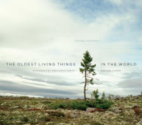 Rachel Sussman, Carl Zimmer, Hans Ulrich Obrist — The Oldest Living Things in the World