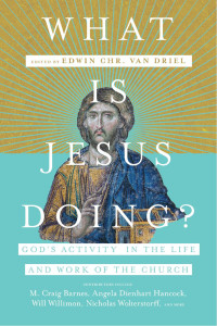 Edwin Chr. Van Driel — What Is Jesus Doing?