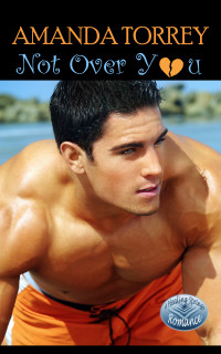 Torrey, Amanda — Not Over You: (Healing Springs, Book 1)