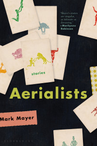 Mark Mayer — Aerialists