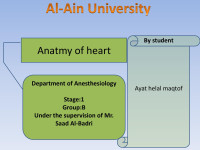 aaa — عرض تقديمي في PowerPoint