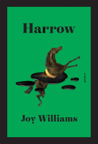 Joy Williams — Harrow
