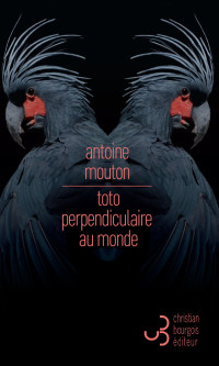 Antoine Mouton — Toto perpendiculaire au monde