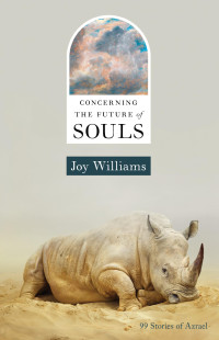 Joy Williams — Concerning the Future of Souls
