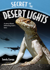 Sandy Zaugg — Secret Of The Desert Lights