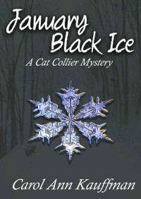 Carol Ann Kauffman [Kauffman, Carol Ann] — January Black Ice