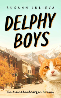 Susann Julieva — Delphy Boys: Ein Kleinstadtherzen Roman (German Edition)