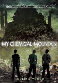 Corina Vacco — My Chemical Mountain