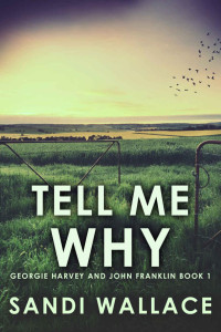 Sandi Wallace — Tell Me Why