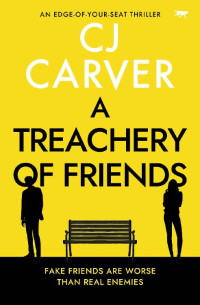 CJ Carver — A Treachery of Friends: An edge-of-your-seat thriller