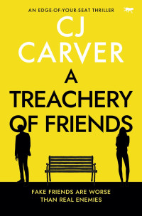 CJ Carver — A Treachery of Friends