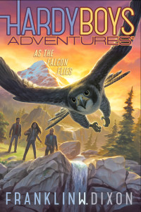 Franklin W. Dixon — As the Falcon Flies - Hardy Boys Adventures 24