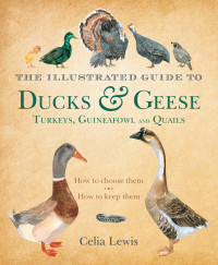 Celia Lewis — The Illustrated Guide to Ducks and Geese and Other Domestic Fowl