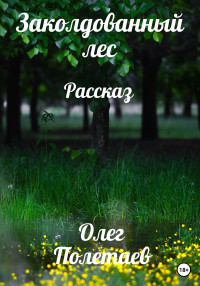 Олег Юрьевич Полетаев — Заколдованный лес
