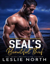 Leslie North — SEAL's Beautiful Thief (Sentinel Security Book 1)