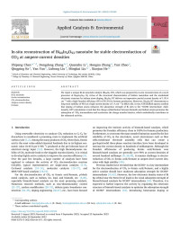 Zhipeng Chen — In-situ reconstruction of Bi60In2O93 nanotube for stable electroreduction of CO2 at ampere-current densities