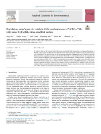 Jing Lin — Elucidating water’s place in catalytic C3H6 combustion over Pt@TiO x /TiO2 with super-hydrophilic silica-modified surface