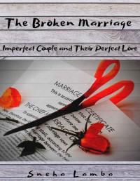 Sneha Mago Lamba — The Broken Marriage: An Imperfect Couple..and Their Perfect Love