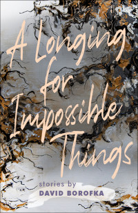 David Borofka — A Longing for Impossible Things