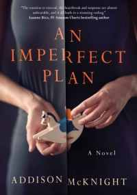 Addison McKnight — An Imperfect Plan