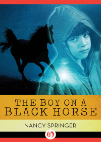 Nancy Springer — Boy on a Black Horse