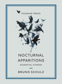 Bruno Schulz — Nocturnal Apparitions