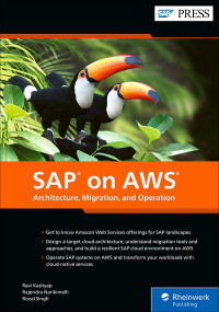 Kashyap, Ravi;Narikimelli, Rajendra;Singh, Rozal; — SAP on AWS