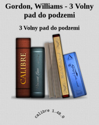 3 Volny pad do podzemi — Gordon, Williams - 3 Volny pad do podzemi