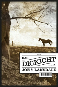 Lansdale, Joe R. — Das Dickicht