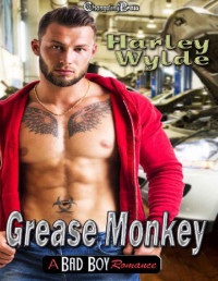 Harley Wylde [Wylde, Harley] — Grease Monkey -- A Bad Boy Romance