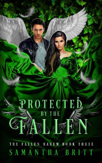 Samantha Britt — Protected by the Fallen: A Fallen Angel Reverse Harem Novel (The Fallen Harem Book 3)