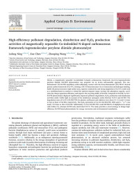 Lufang Ning — High-efficiency pollutant degradation, disinfection and H2O2 production activities of magnetically separable Co-imbedded N-doped carbonaceous framework/supramolecular perylene diimide photocatalyst