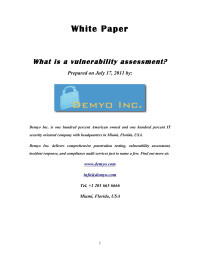 Demyo.com — White Paper - What is a Vulnerability Assessment?