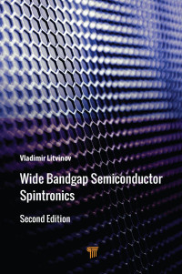 Vladimir Litvinov — Wide Bandgap Semiconductor Spintronics