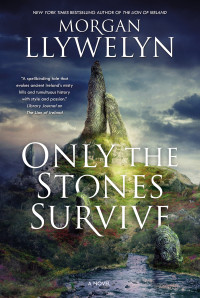 Morgan Llywelyn — Only the Stones Survive