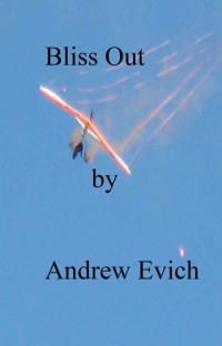 Andrew Evich — Bliss Out