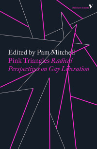 Pam Mitchell — Pink Triangles