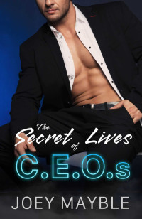 Joey Mayble — The Secret Lives of CEOs (Not So Straight Book 2)