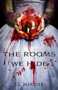 JS Mercier — The Rooms We Hide: The Secrets Duet - Book 1