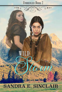 Sandra E Sinclair — Wild Storm (The Unbridled Series Book 2)