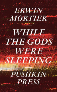 Erwin Mortier — While the Gods Were Sleeping