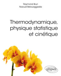 Raymond Brun, Naoual Belouaggadia — Thermodynamique, physique statistique et cinétique