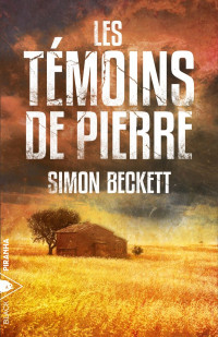Simon Beckett — Les témoins de pierre