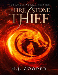 N.J. Cooper — The Fire Stone Thief (Velatem Realm Series)