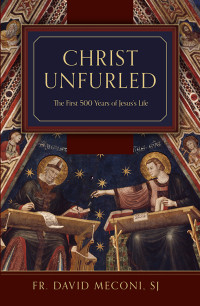 David Meconi; — Christ Unfurled