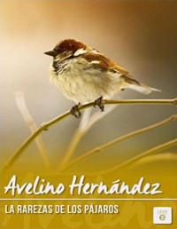 Avelino Hernández — Las rarezas de los pájaros