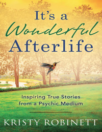 Kristy Robinett — It's a Wonderful Afterlife - Inspiring true stories from a psychic medium