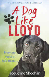 Jacqueline Sheehan — A Dog Like Lloyd