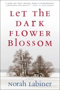 Norah Labiner — Let the Dark Flower Blossom